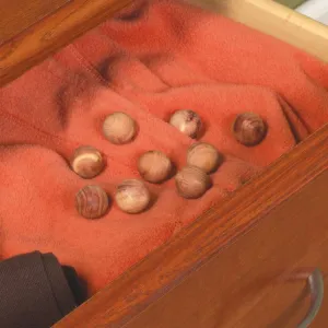 24 ct. Cedar Storage Balls