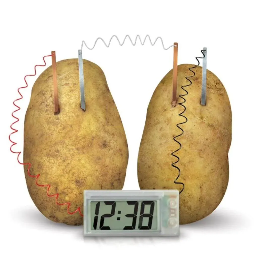 4M - Green Science - Potato Clock