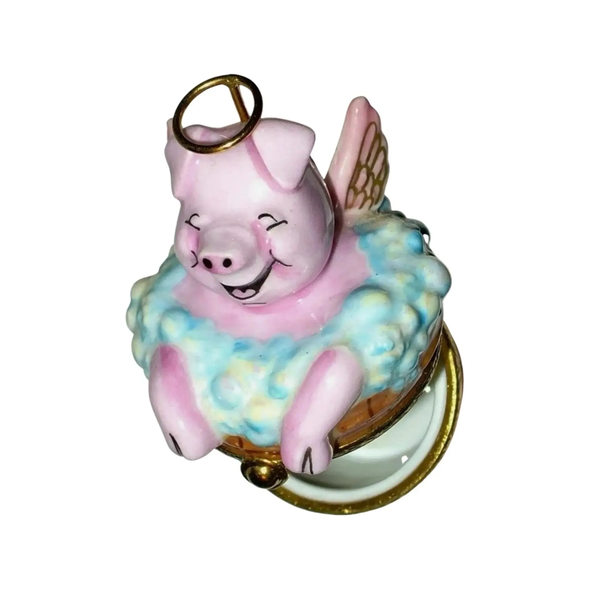 Angelic Pig In Washing