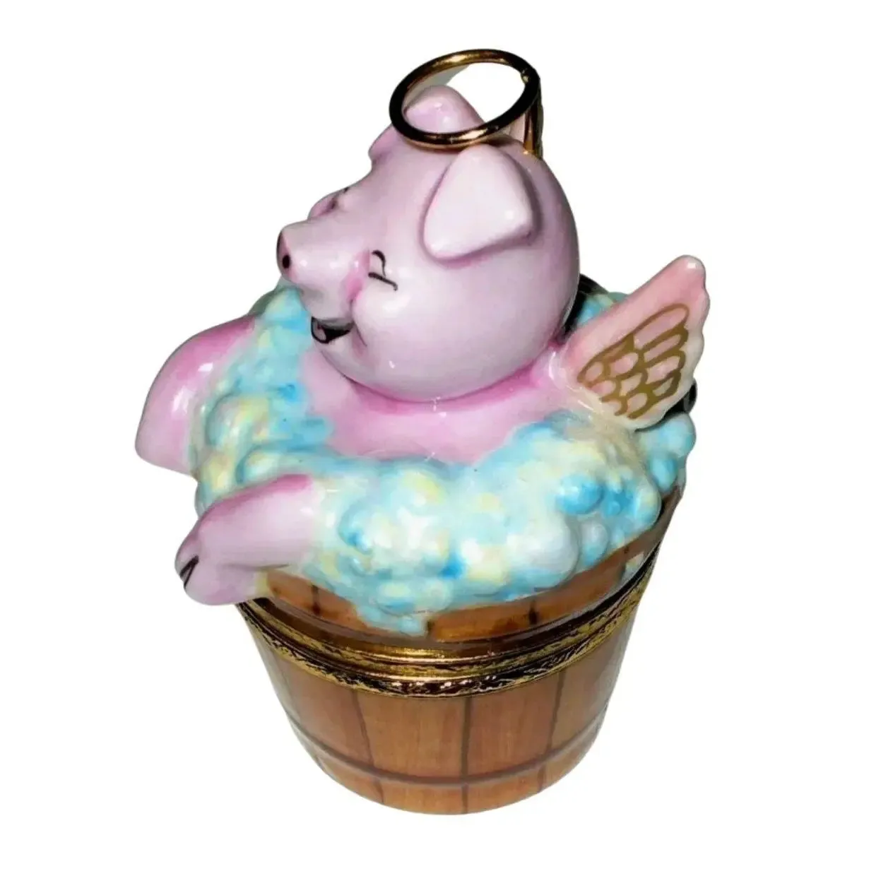 Angelic Pig In Washing