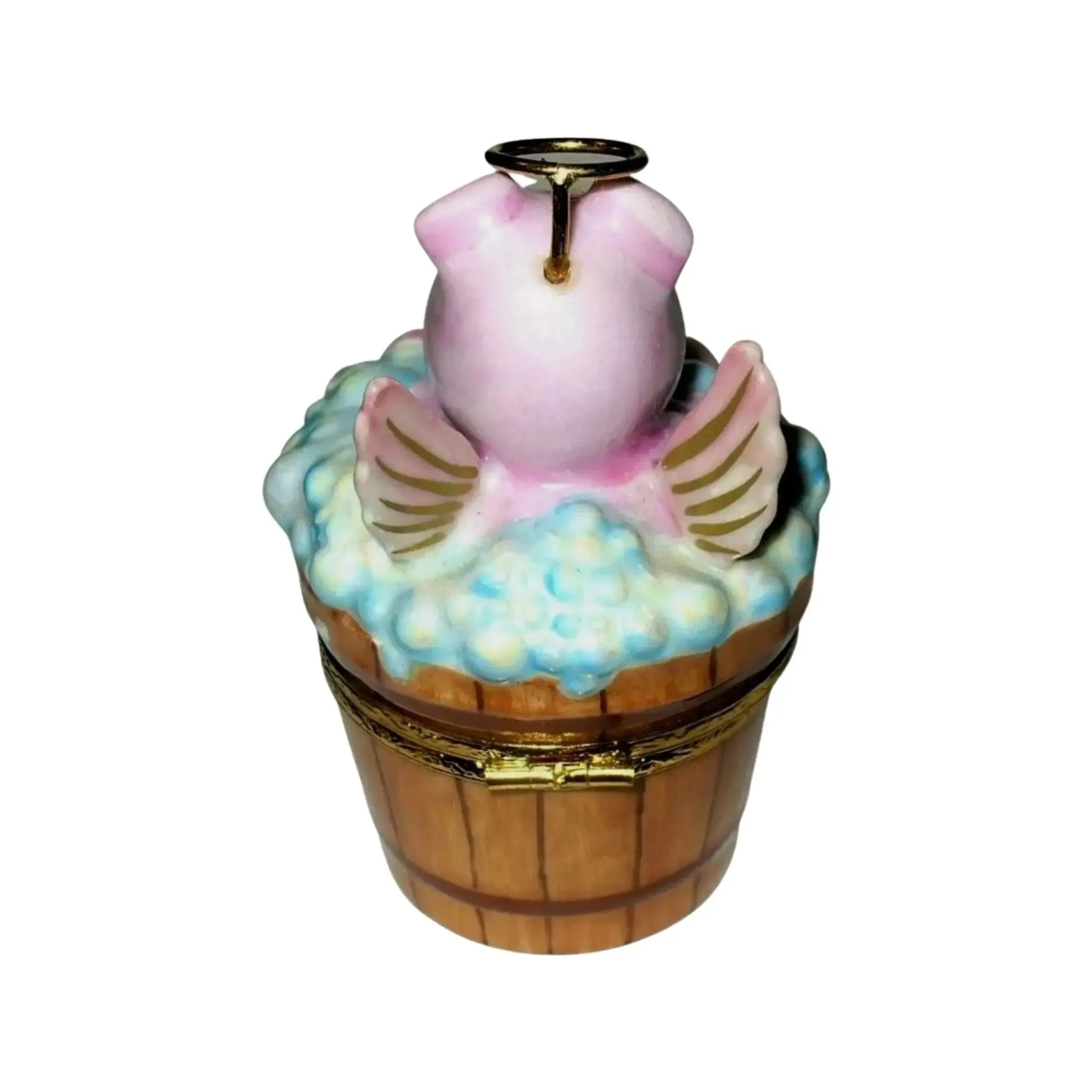 Angelic Pig In Washing