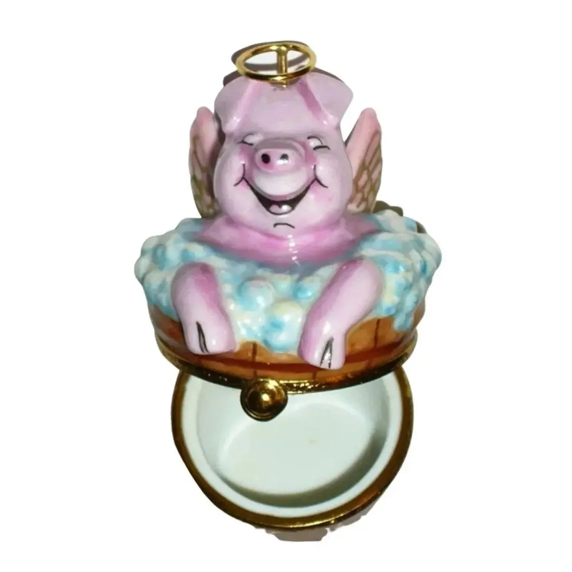 Angelic Pig In Washing