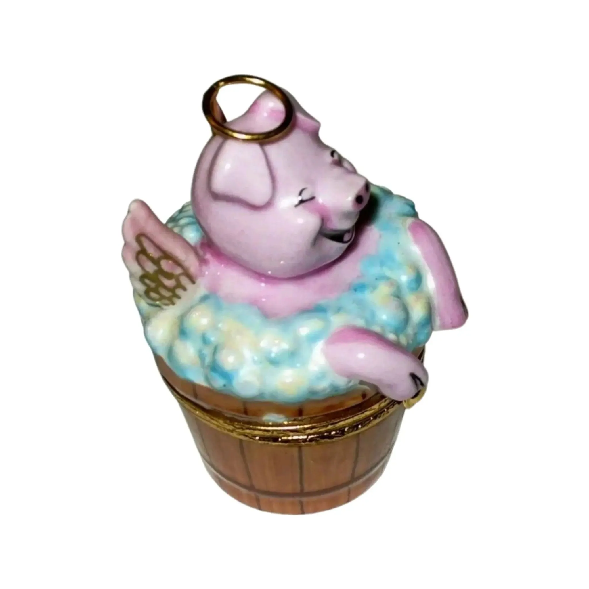 Angelic Pig In Washing
