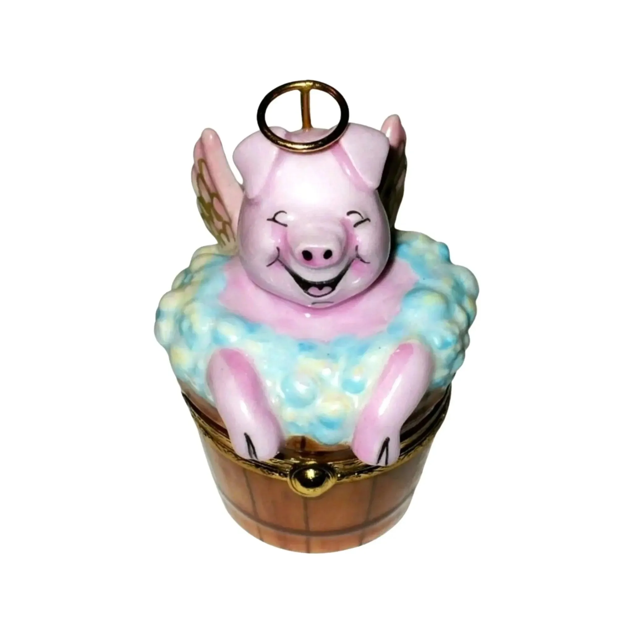 Angelic Pig In Washing