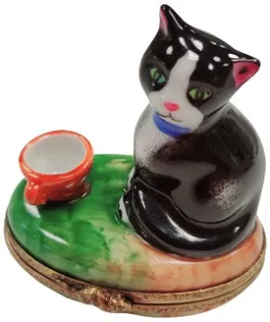 Cat w Red Cup