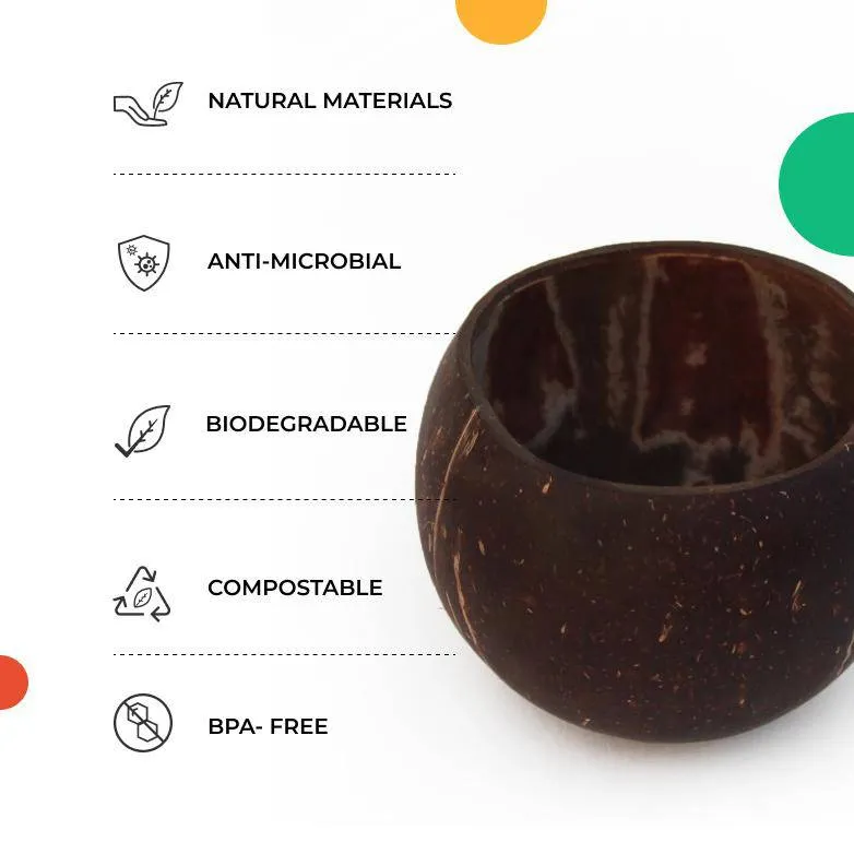 Coconut Snacking Bowl and Spoon Set