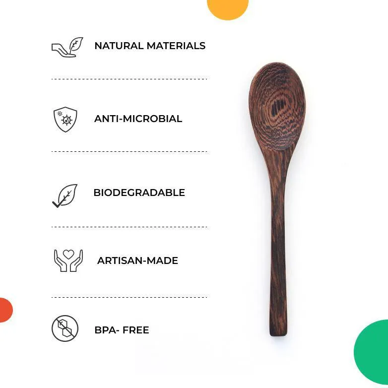 Coconut Snacking Bowl and Spoon Set