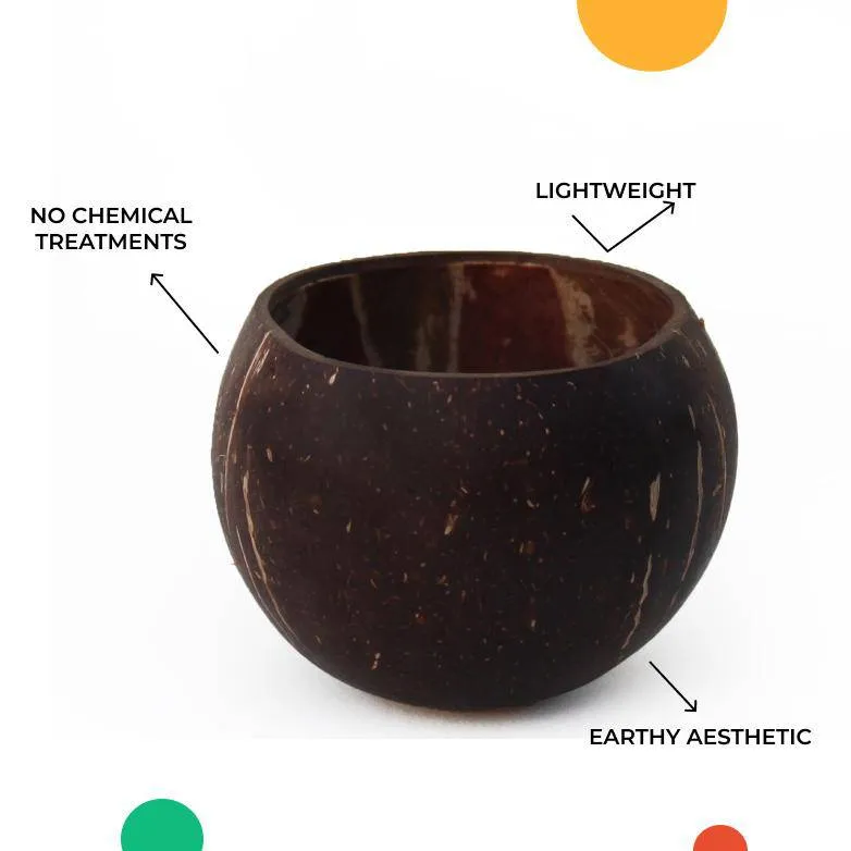 Coconut Snacking Bowl and Spoon Set