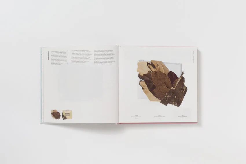 Croatia: Artists on the Move - Imago Mundi