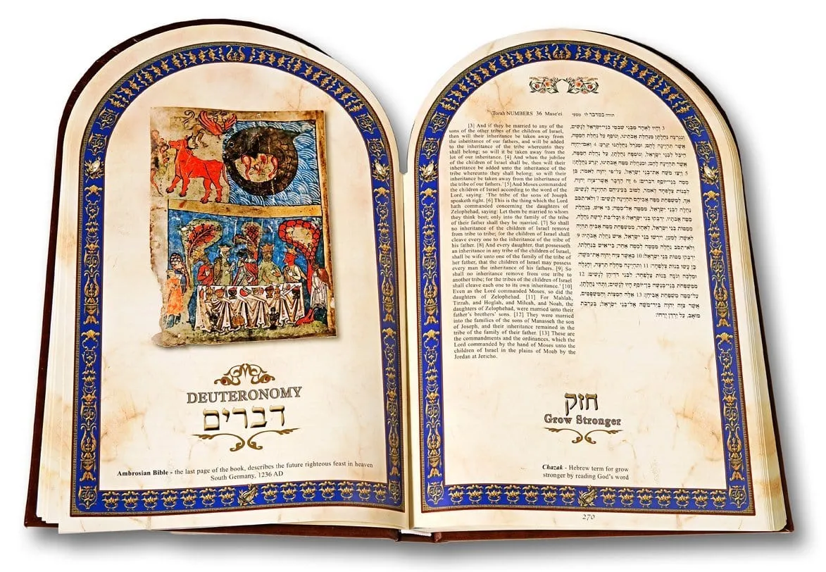 Illuminated Torah - English Hebrew Leather