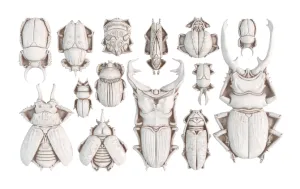 IOD Specimens Mould