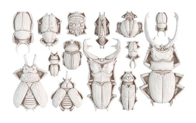 IOD Specimens Mould