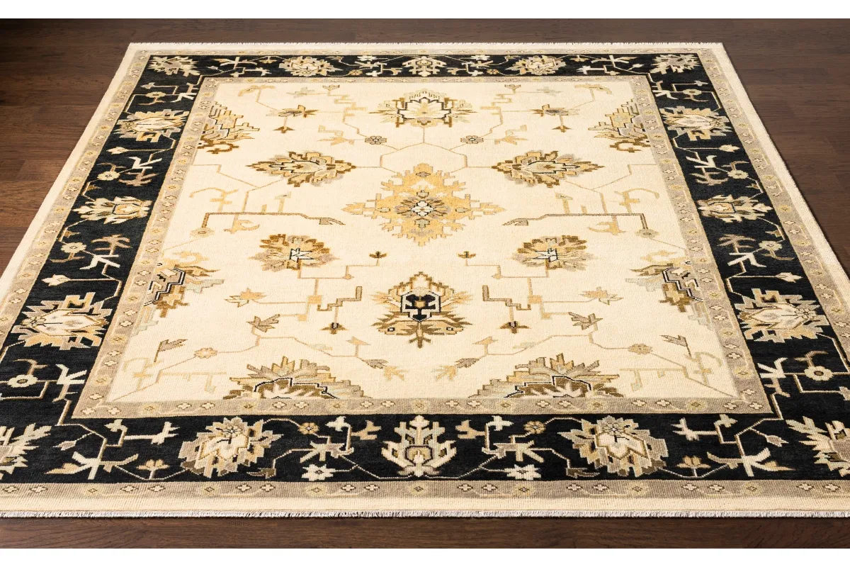 JoJo Fletcher Isabella Indoor Hand Knotted Rug