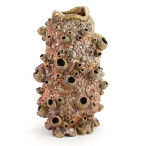Large Barnacle Sculpture/ Vase - Wood Fired