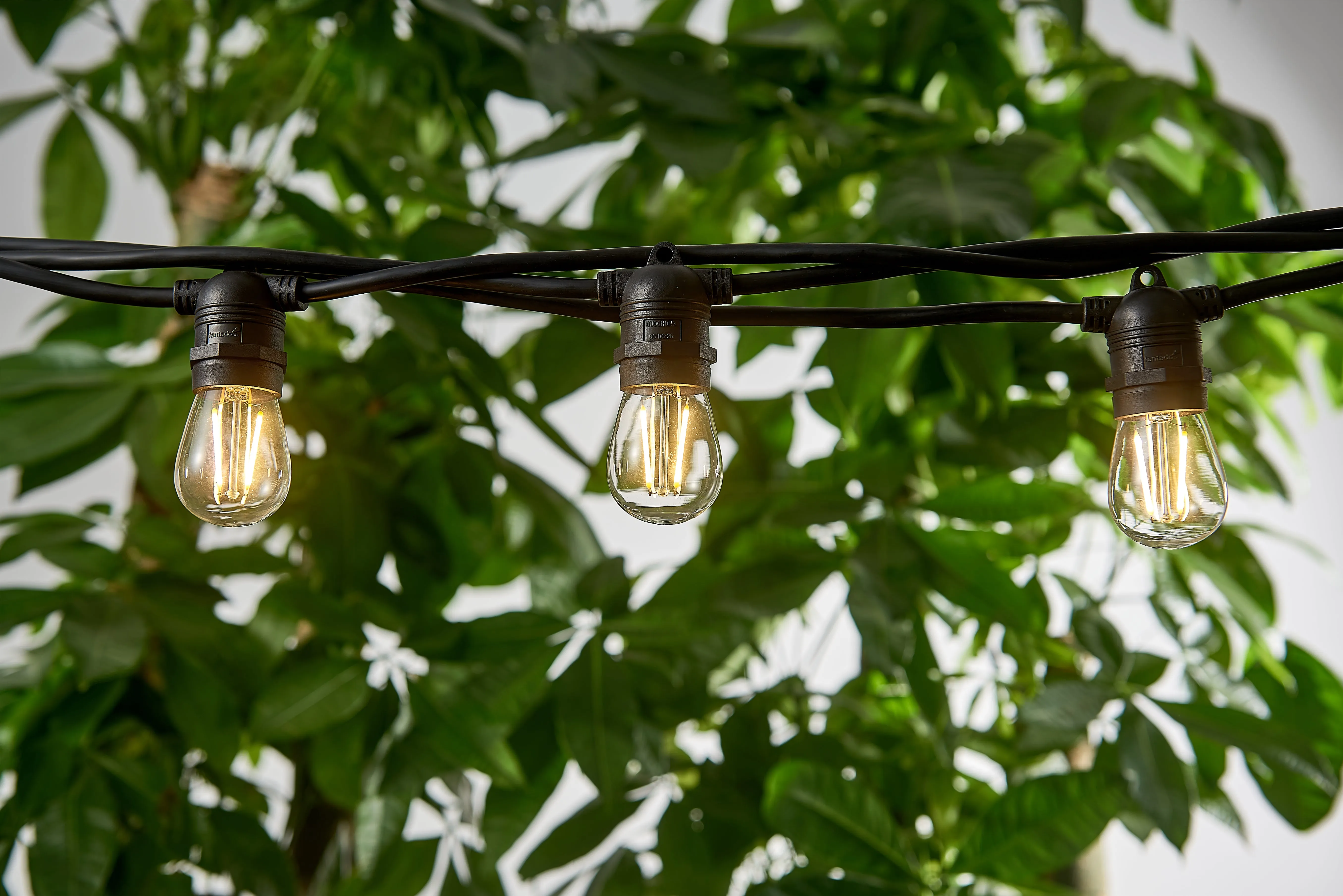 LED  Vintage String LED Lights In/Outdoor 10 Bulbs Included