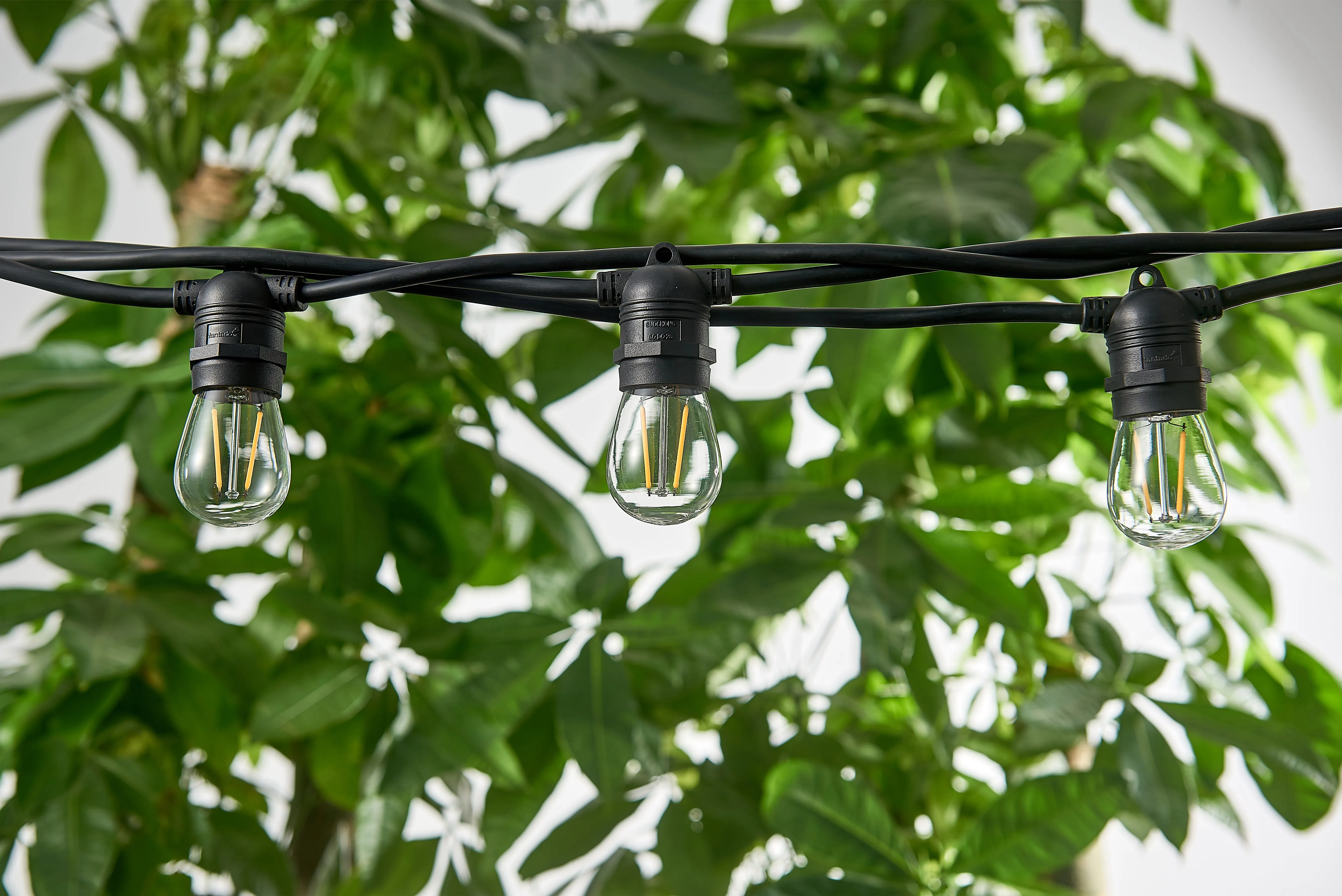 LED  Vintage String LED Lights In/Outdoor 10 Bulbs Included