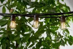 LED  Vintage String LED Lights In/Outdoor 10 Bulbs Included