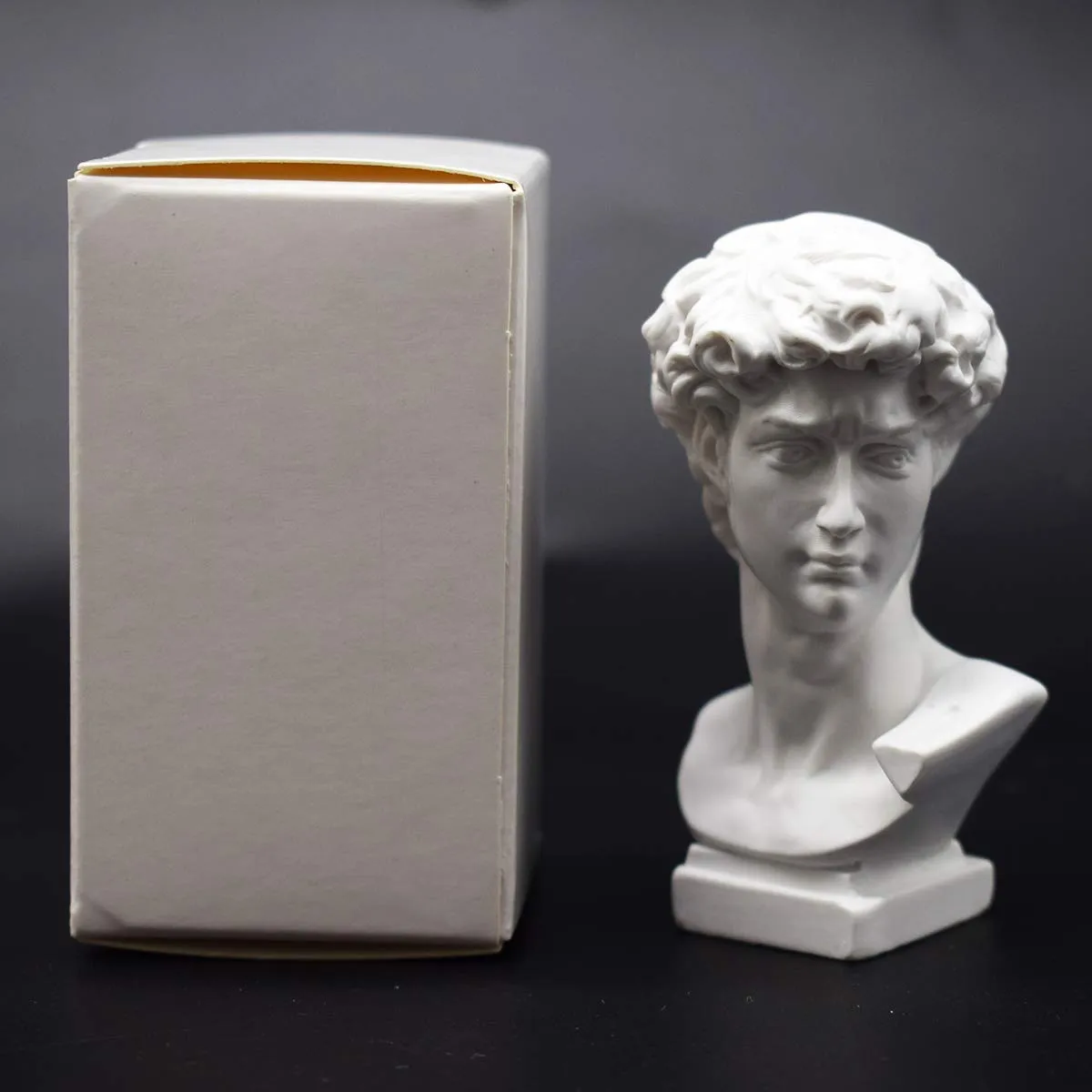 picaru Resin Bust Statue 2.76 Inch Plaster Figurines Mini Home Decoration Sculpture White for Art Hobbyist-David
