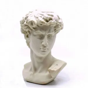 picaru Resin Bust Statue 2.76 Inch Plaster Figurines Mini Home Decoration Sculpture White for Art Hobbyist-David