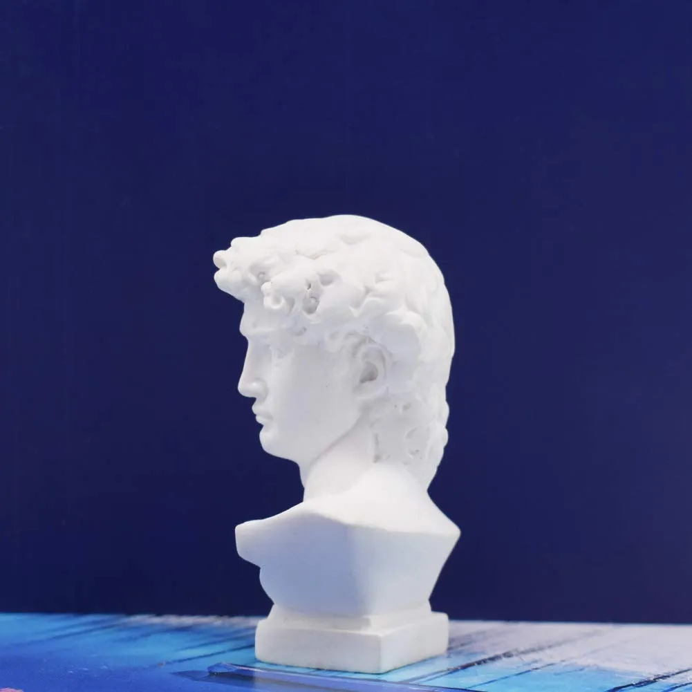 picaru Resin Bust Statue 2.76 Inch Plaster Figurines Mini Home Decoration Sculpture White for Art Hobbyist-David