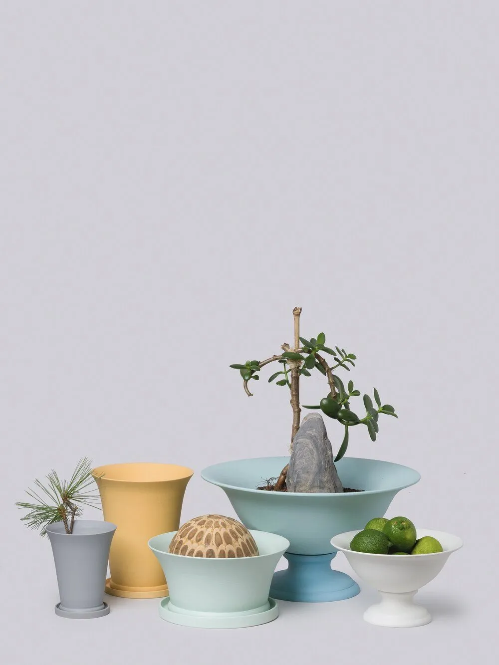PICCOLO CONICAL POT