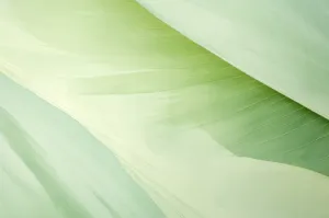 Verde Custom Art